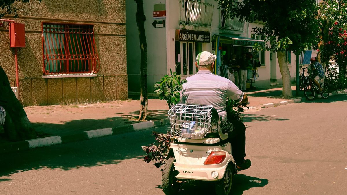 An older man riding a mobility scooter down a sunny street, carrying plants home from an errand