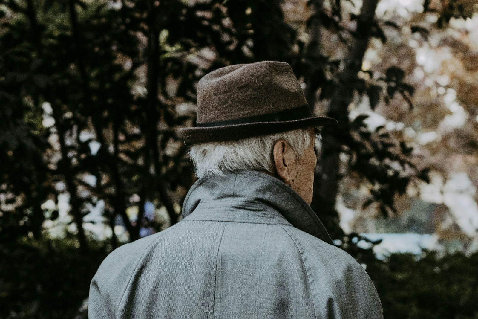 Older man seen from behind in a felt hat and gray coat walking among autumn trees