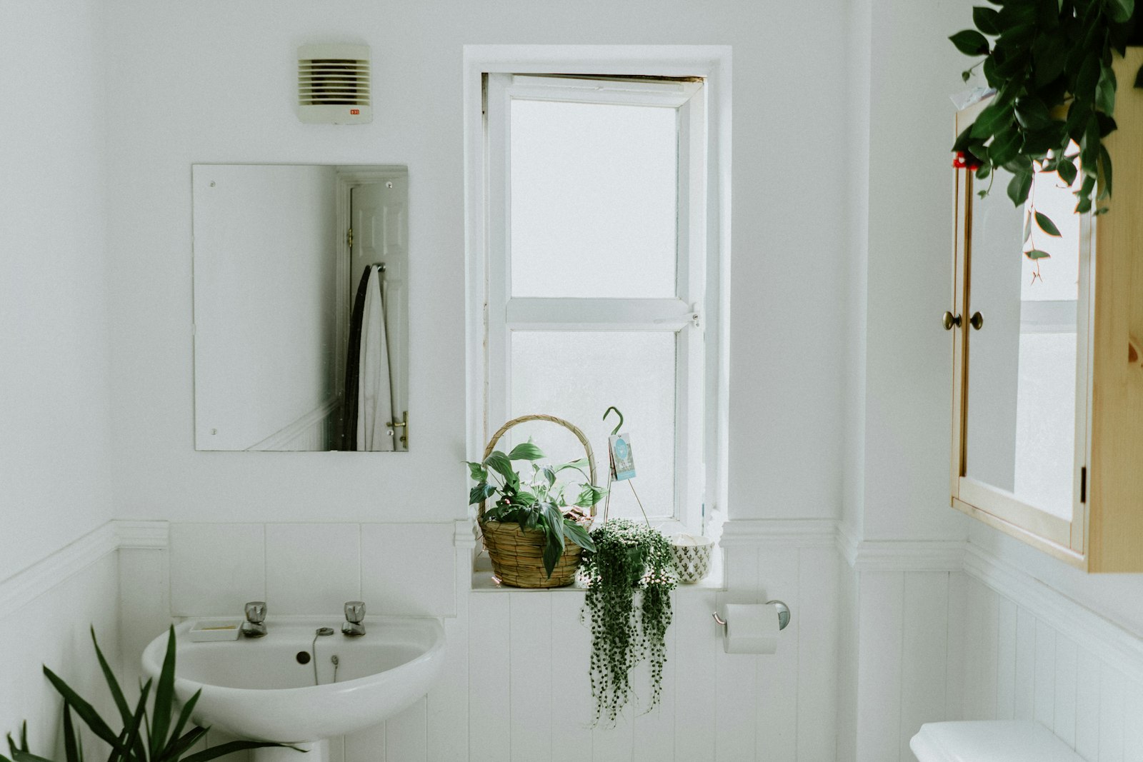 Ordinary white home bathroom with a pedestal basin, sash window and plants